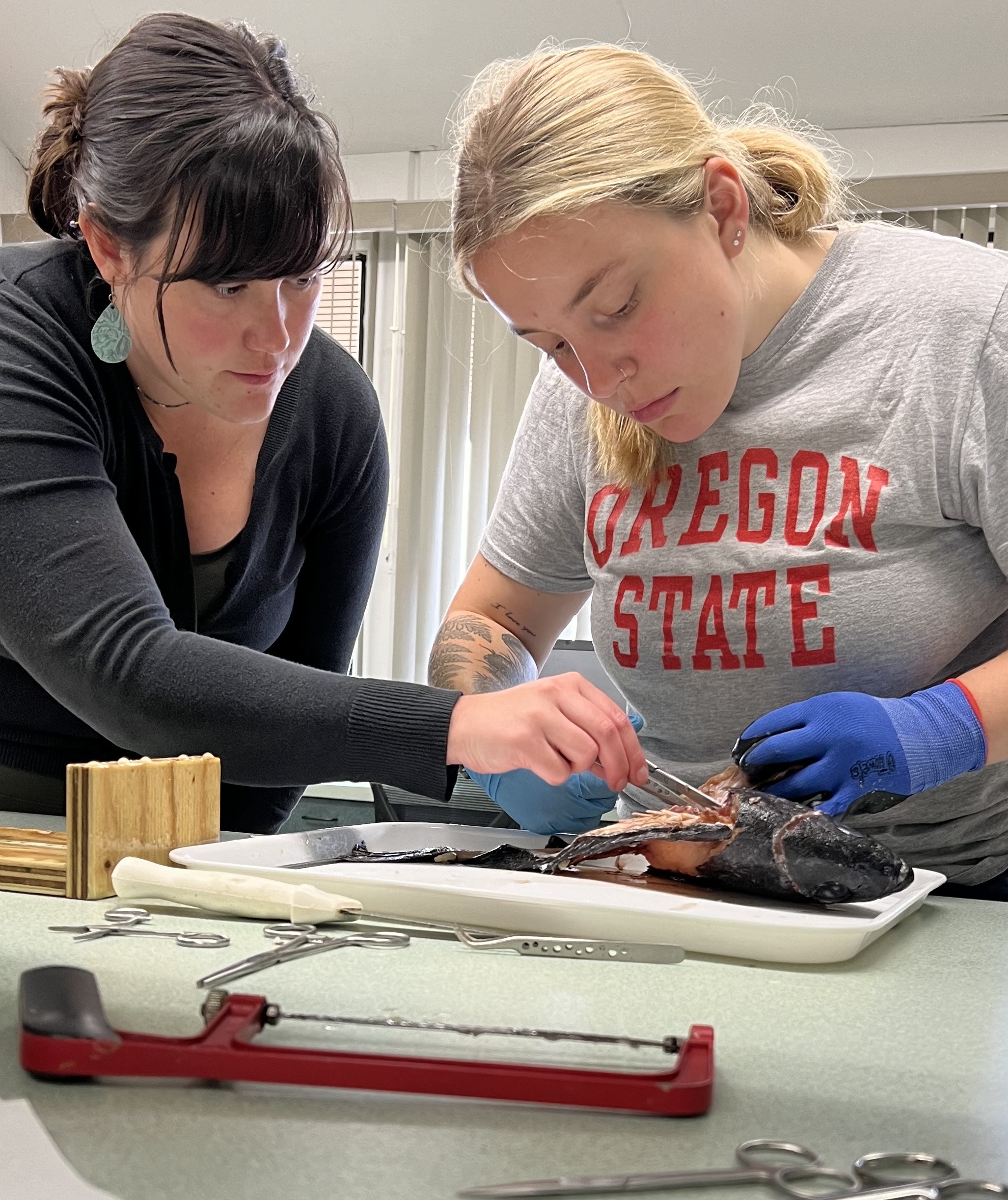 Madison Bargas and Sadie Lockwood dissecting a black rockfish